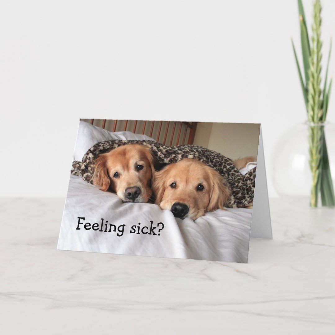 Golden Retriever Get Well Soon Greeting Card | Zazzle