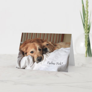 Golden Retriever Get Well Soon Greeting Card