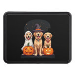 Golden Retriever Ghost Halloween Trick Or Treat Do Hitch Cover