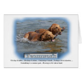 Golden Retriever Gifts (Front Horizontal)