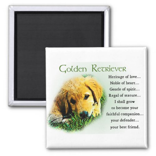 Golden Retriever Gifts Magnet