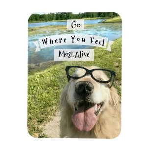 Golden Retriever Go Where You Feel Inspirational Magnet