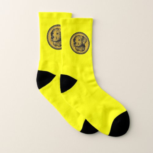 Golden retriever gold frame with gold foil texture socks