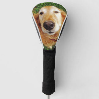 Golden Retriever Golf Head Cover