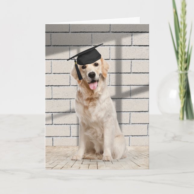 Golden Retriever Graduate On Brick Card (Front)