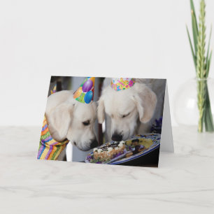Golden Retriever Greeting Card