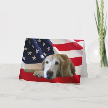 Golden Retriever Greeting Card by normagolden at Zazzle
