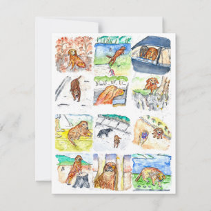 Golden Retriever Greeting Card