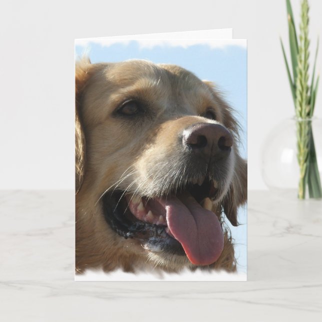 Golden Retriever Greeting Card (Front)