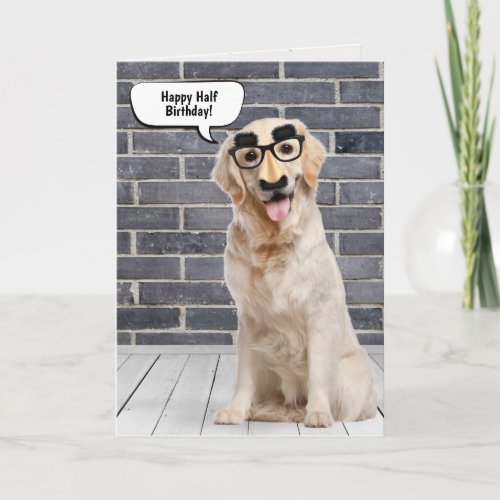 Golden Retriever Half Birthday Humor Card