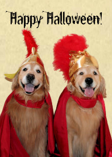 golden retriever halloween centurion card