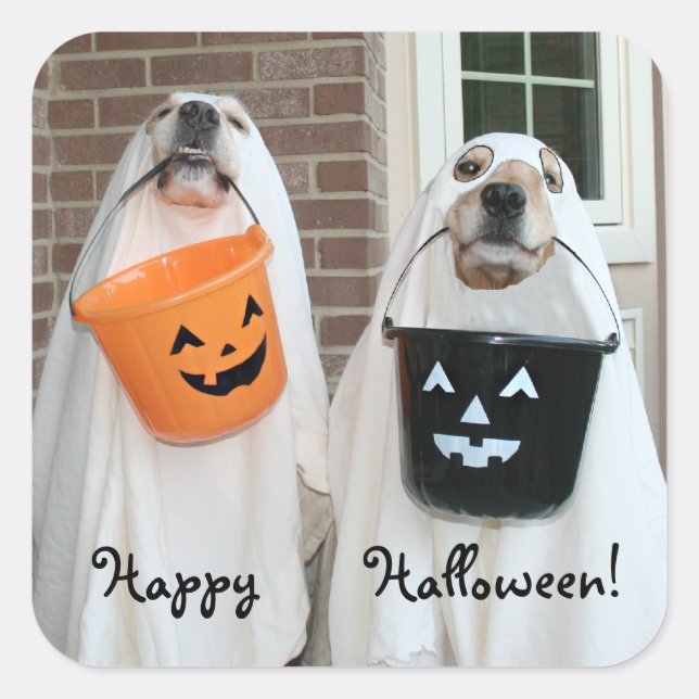 Golden Retriever Halloween Ghosts Square Sticker (Front)
