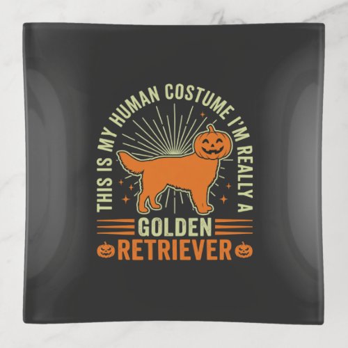 Golden Retriever Halloween Human Costume Vintage D Trinket Tray
