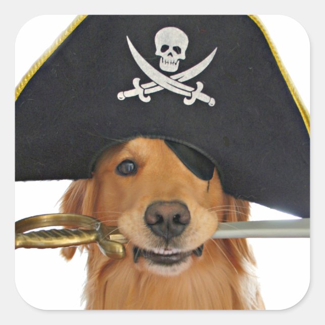 Golden Retriever Halloween Pirate Square Sticker (Front)