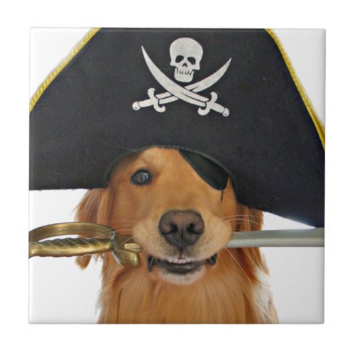 Golden Retriever Halloween Pirate Tile