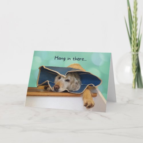 Golden Retriever Hang in there Get Well Card