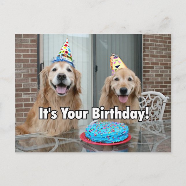 Golden Retriever Happy Birthday Cake Postcard (Front)