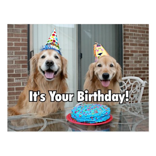 Golden Retriever Happy Birthday Cake Postcard | Zazzle.com