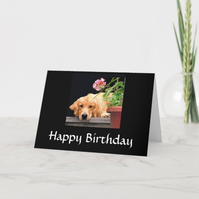 Golden Retriever Happy Birthday Card (Front)