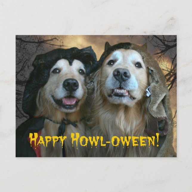 Golden Retriever Happy Howl-oween Postcard (Front)