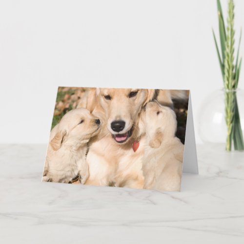 Golden Retriever Happy Mothers Day Card