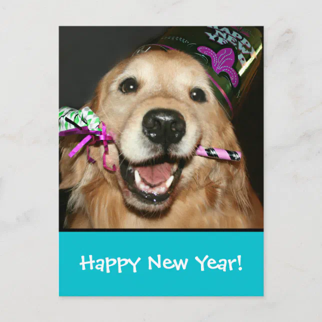 Golden Retriever Happy New Year Postcard Zazzle