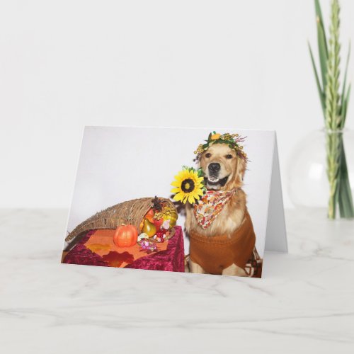 Golden Retriever Harvest Thanksgiving Holiday Card