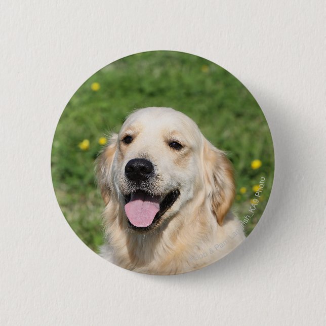 Golden Retriever Headshot 1 Button (Front)