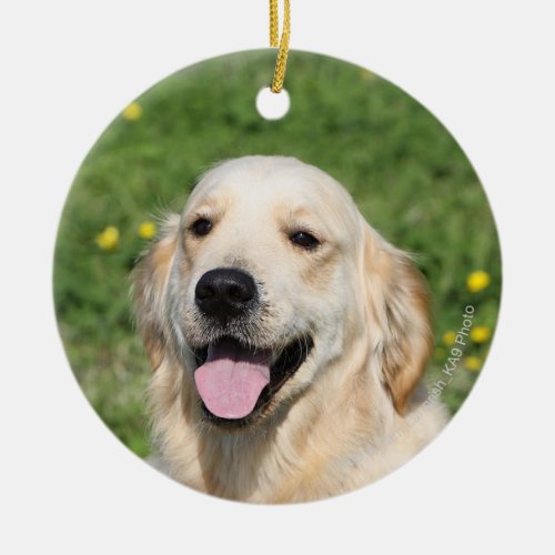 Golden Retriever Headshot 1 Ceramic Ornament