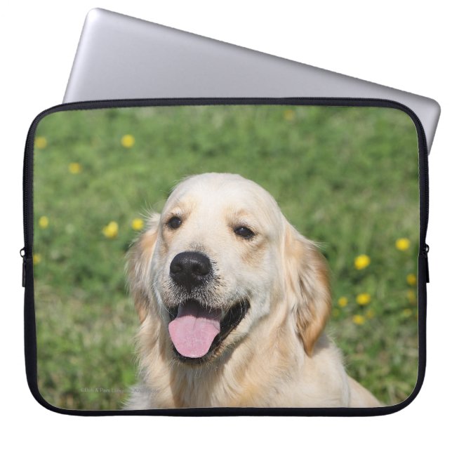Golden Retriever Headshot 1 Laptop Sleeve (Front)