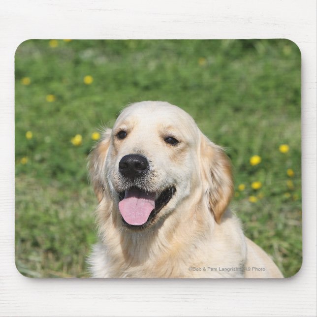 Golden Retriever Headshot 1 Mouse Pad (Front)