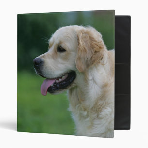 Golden Retriever Headshot 2 2 3 Ring Binder