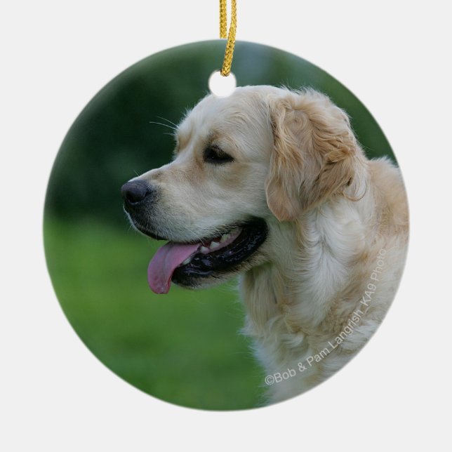 Golden Retriever Headshot 2 2 Ceramic Ornament (Front)