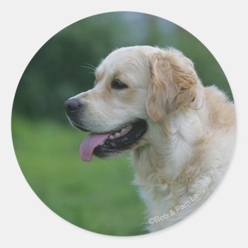 Golden Retriever Headshot 2 2 Classic Round Sticker