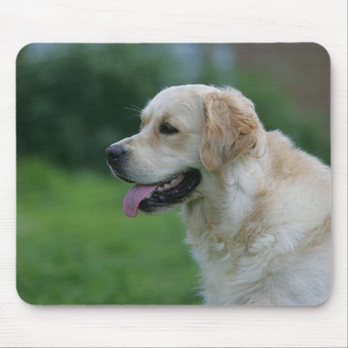 Golden Retriever Headshot 2 2 Mouse Pad