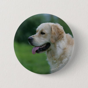 Golden Retriever Headshot 2 2 Pinback Button