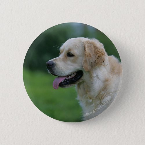 Golden Retriever Headshot 2 2 Pinback Button