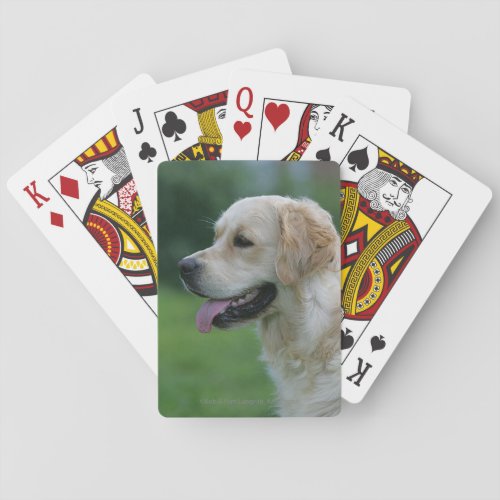 Golden Retriever Headshot 2 2 Playing Cards