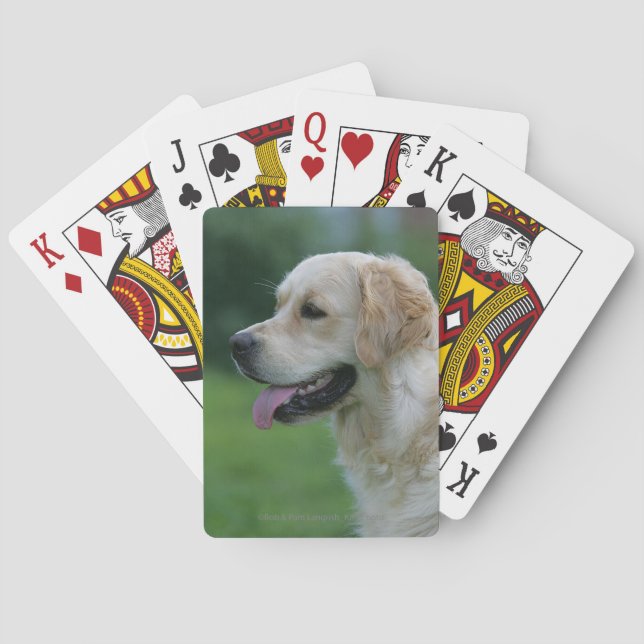 Golden Retriever Headshot 2 2 Poker Cards (Back)