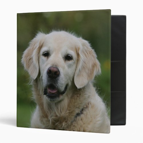 Golden Retriever Headshot 2 3 Ring Binder