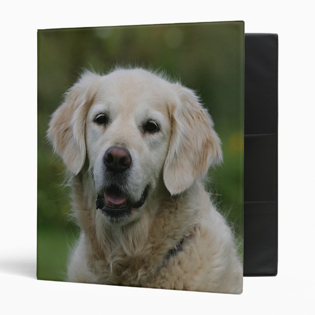 Golden Retriever Headshot 2 3 Ring Binder (Front/Inside)