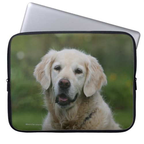 Golden Retriever Headshot 2 Laptop Sleeve