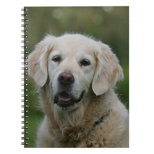 Golden Retriever Headshot 2 Notebook (Front)