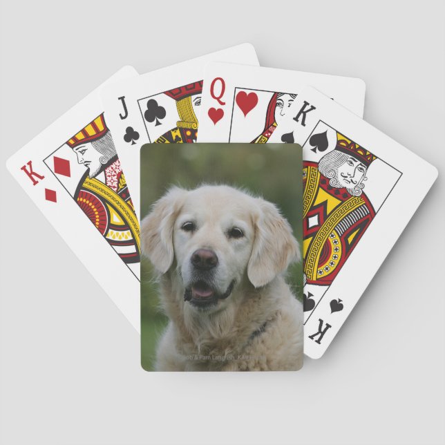 Golden Retriever Headshot 2 Poker Cards (Back)