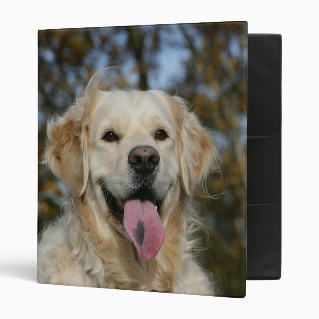 Golden Retriever Headshot 3 Binder (Front/Inside)