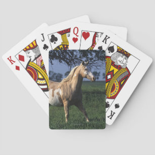 Golden Retriever Headshot 3 Deck Of C - Customized Poker Cards