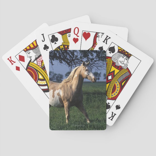 Golden Retriever Headshot 3 Deck Of C - Customized Poker Cards (Back)