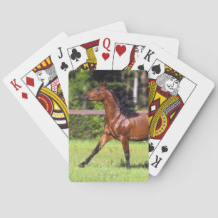 Golden Retriever Headshot 3 Deck Of C - Customized Poker Cards