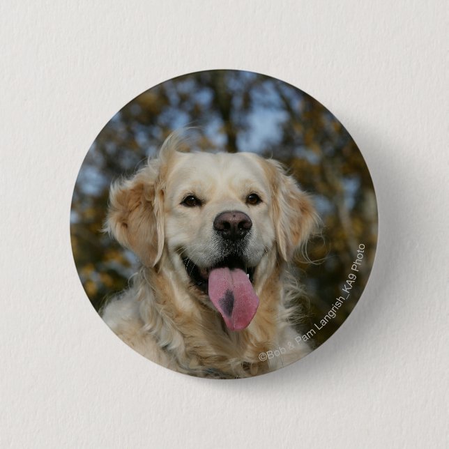 Golden Retriever Headshot 3 Pinback Button (Front)