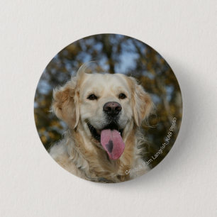 Golden Retriever Headshot 3 Pinback Button